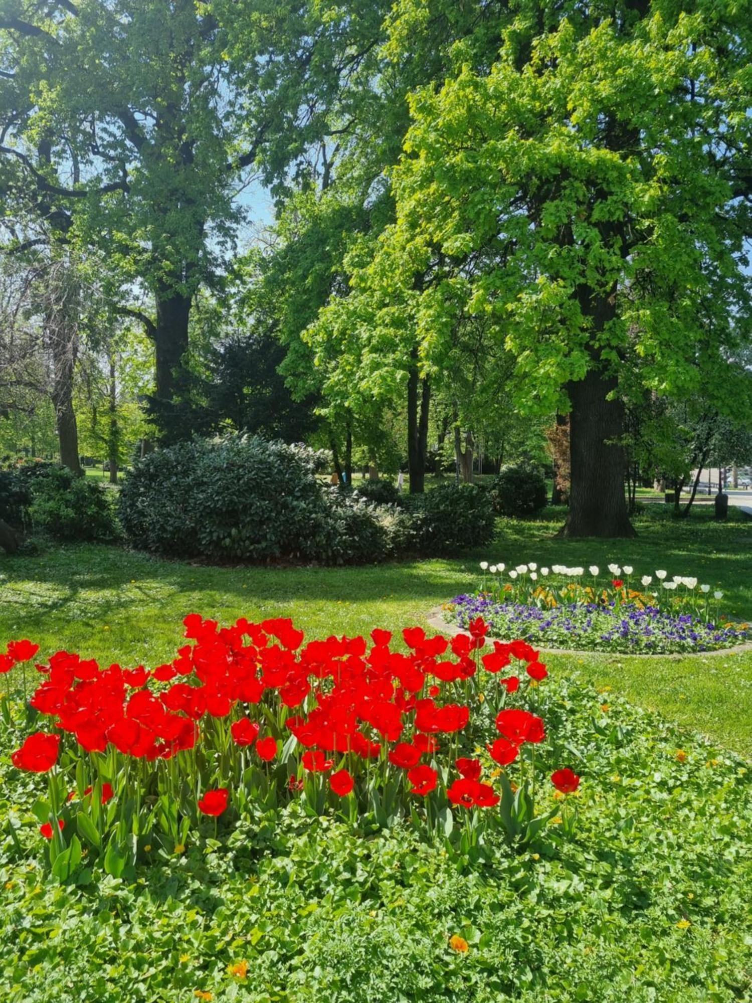 Tulip Dreamland Daire Sofya Dış mekan fotoğraf