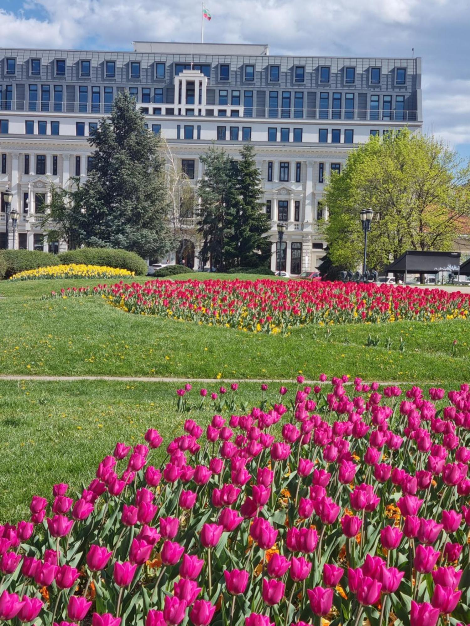 Tulip Dreamland Daire Sofya Dış mekan fotoğraf