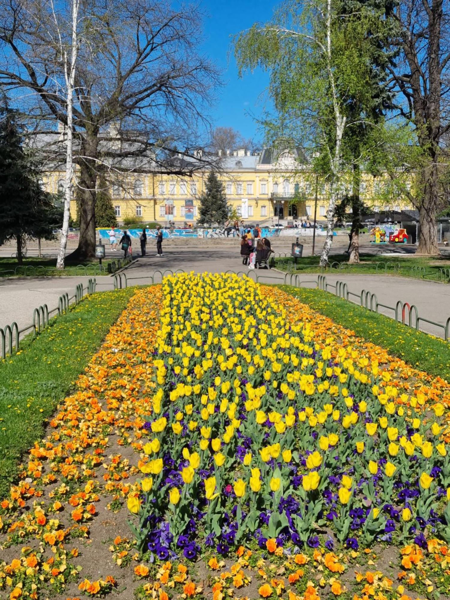 Tulip Dreamland Daire Sofya Dış mekan fotoğraf