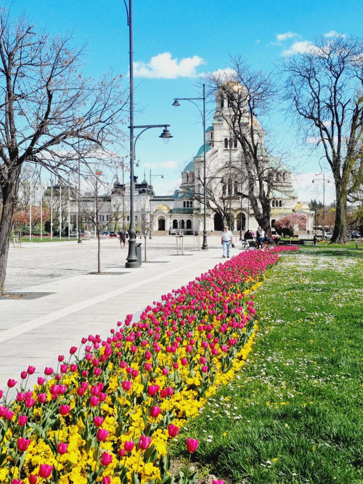 Tulip Dreamland Daire Sofya Dış mekan fotoğraf