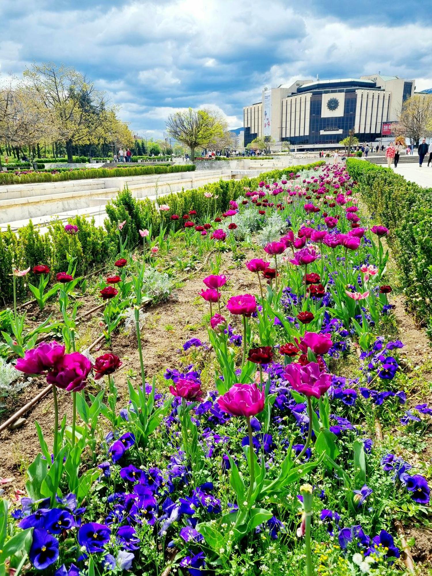 Tulip Dreamland Daire Sofya Dış mekan fotoğraf